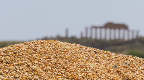 Come preparare il vero cous cous alla trapanese