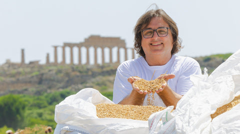 All’ombra dei templi i grani di Selinunte